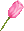花朵