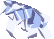 緞帶花